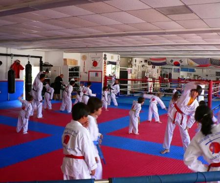 Ferrer Academy of Martial Arts