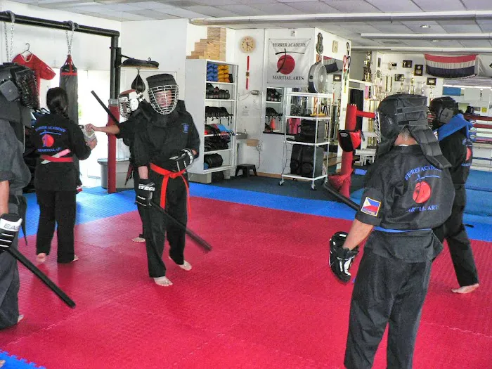 Ferrer Academy of Martial Arts Picture 3