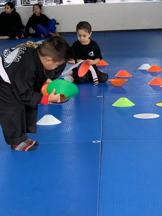 Frazier Martial Arts - La Habra Picture 6