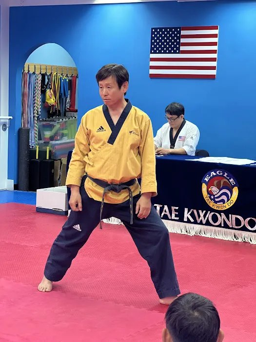 Eagle Tae Kwon DO Picture 2