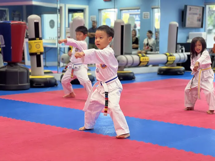 Eagle Tae Kwon DO Picture 3