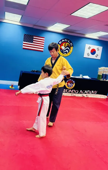 Eagle Tae Kwon DO Picture 10