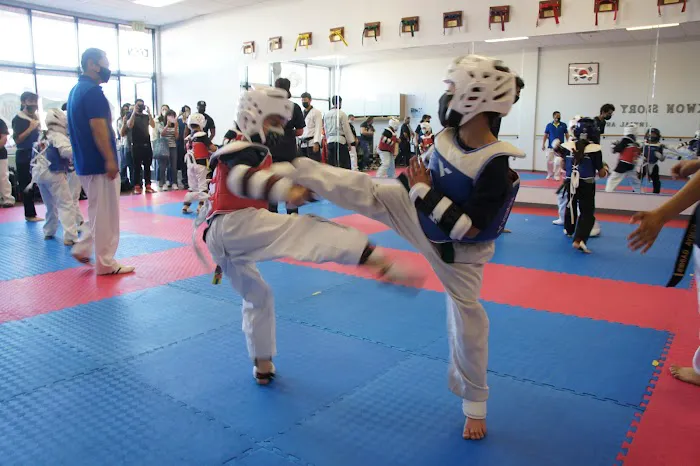 TKS Martial Arts Picture 4