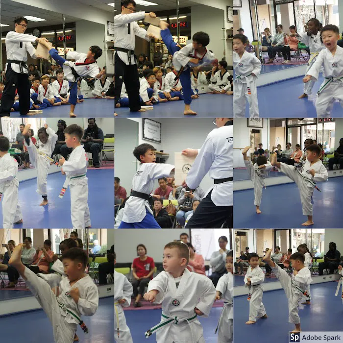 TKS Martial Arts Picture 7