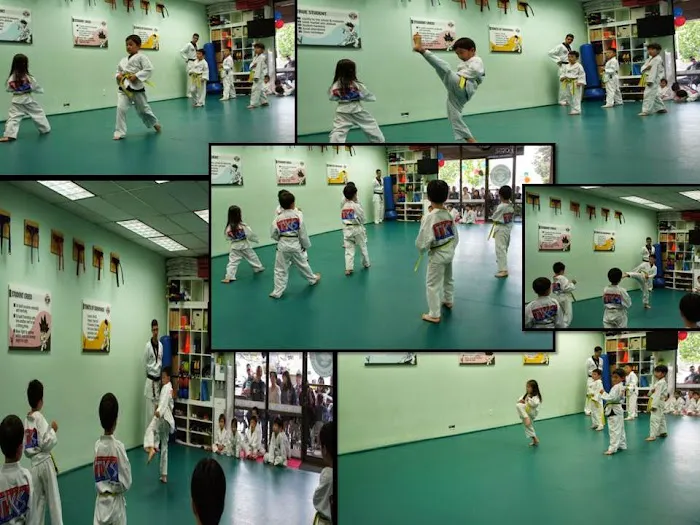 TKS Martial Arts Picture 6