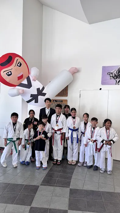 JP US TAEKWONDO Picture 3