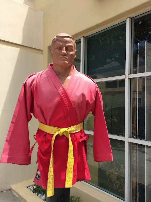 Longevity Martial Arts Centers Picture 3