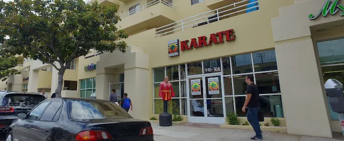 Longevity Martial Arts Centers Picture 2