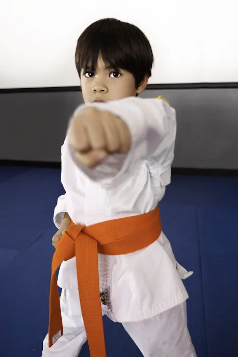 Brentwood Martial Arts Picture 1