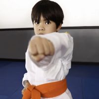 Brentwood Martial Arts ico