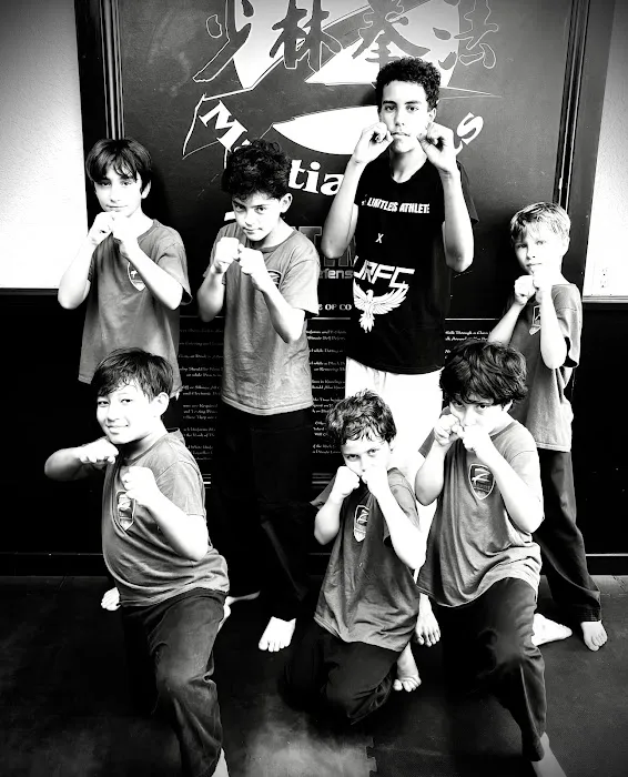 Brentwood Martial Arts Picture 4