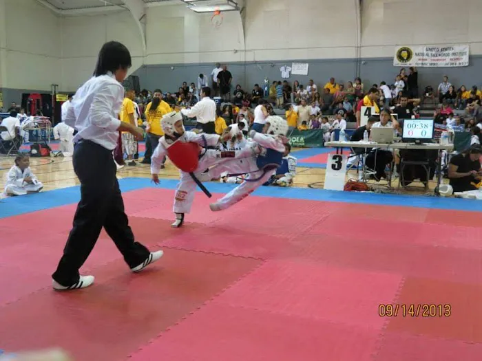 Team Fearless Academy of Martial Arts Taekwondo Picture 5