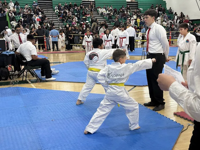 CadenaTaekwondo Picture 2