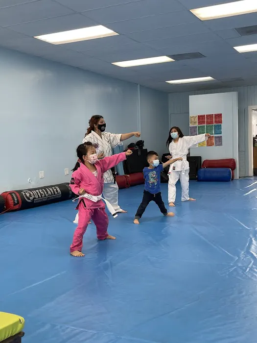 Kim’s Hapkido Picture 3