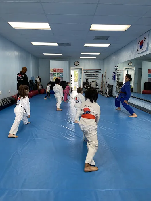 Kim’s Hapkido Picture 7