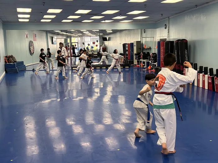 SK Taekwondo Center Picture 8