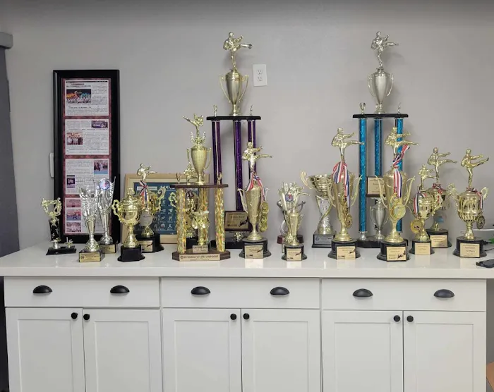 Just Taekwondo Picture 2