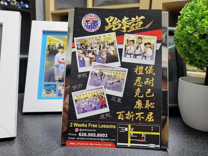 AK Taekwondo Center Picture 3