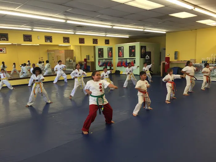 AK Taekwondo Center Picture 4