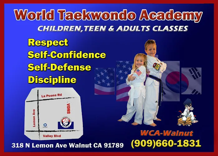 World Taekwondo Academy-Walnut CA Picture 10