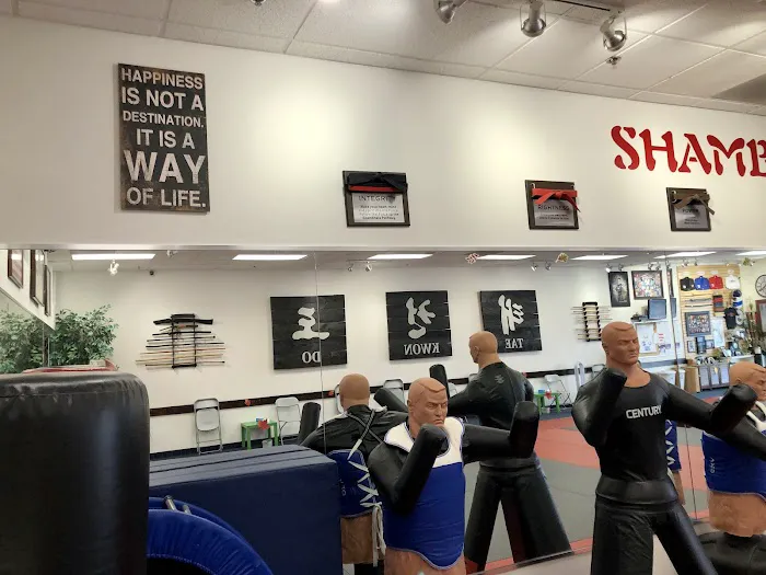 Shambhala Martial Arts | Brea Martial Arts Classes | Taekwondo School Picture 4