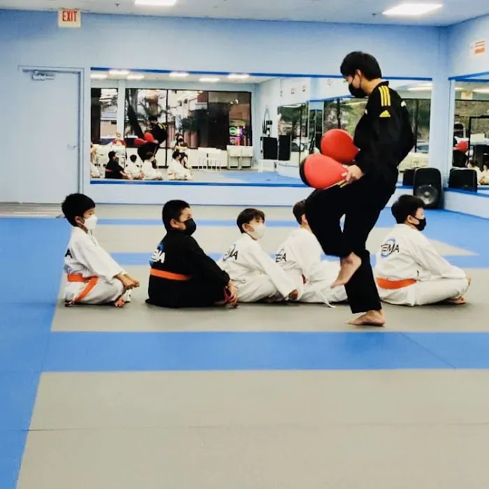 TEMA - True Education of Martial Arts Picture 4