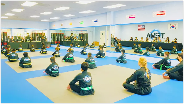 TEMA - True Education of Martial Arts Picture 10