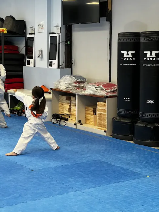 WORLD CHAMPION TAEKWONDO ACADEMY - DIAMOND BAR, CA Picture 3