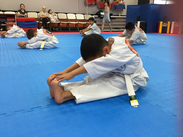 WORLD CHAMPION TAEKWONDO ACADEMY - DIAMOND BAR, CA Picture 8