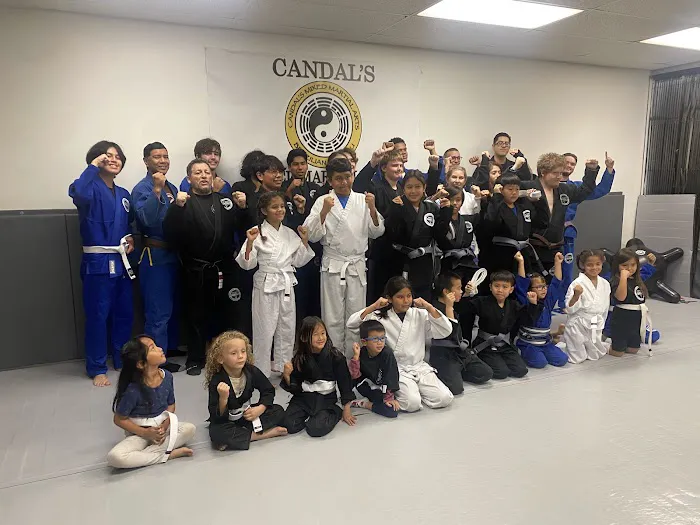 Candal's Martial Arts Picture 1