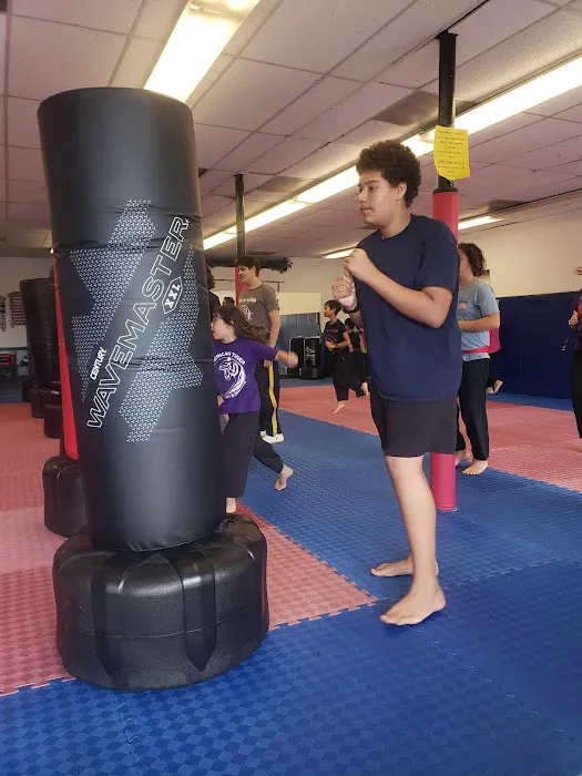 American Tiger Martial Arts Picture 1