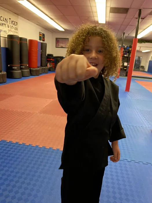 American Tiger Martial Arts Picture 2