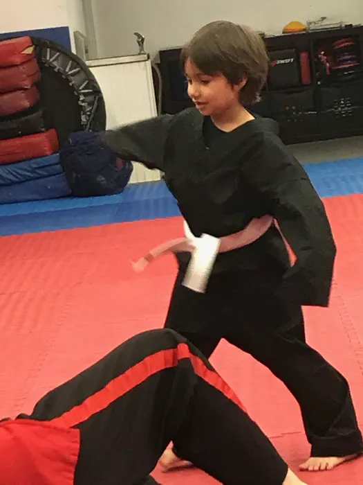 American Tiger Martial Arts Picture 3