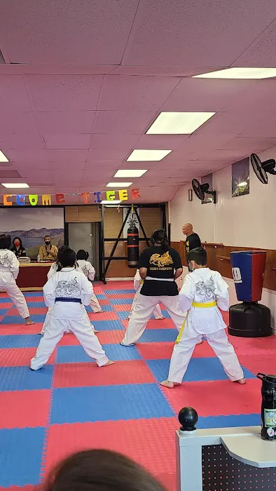 Tiger's Tae Kwon Do Picture 2