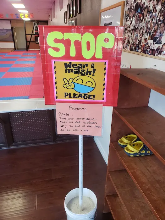 Tiger's Tae Kwon Do Picture 1