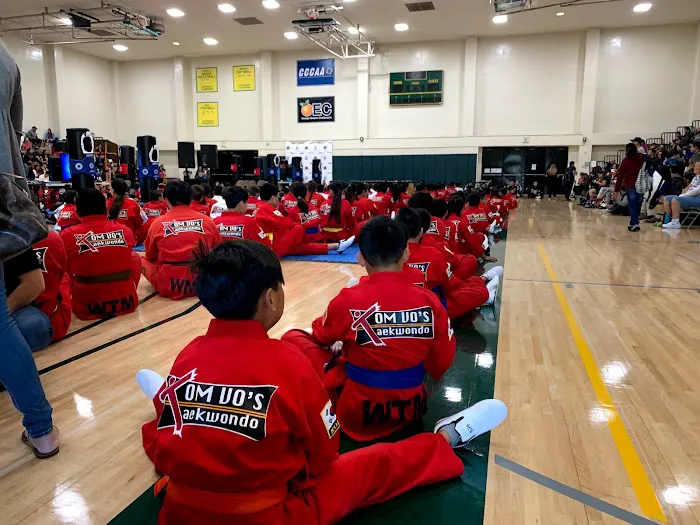 Tom Vo's Taekwondo Academy Picture 10