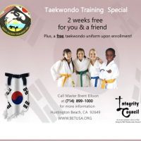 Brent Ellison Taekwondo USA ico