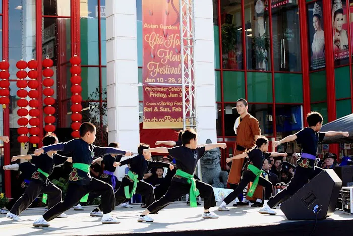 Shaolin Warrior Academy Picture 6