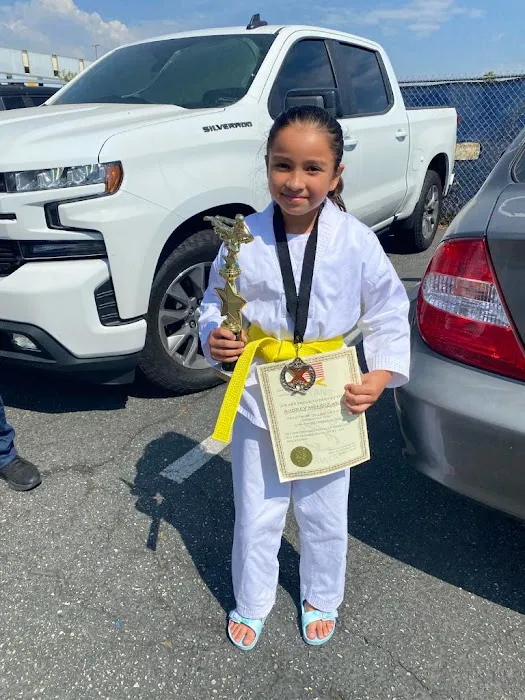 Saiyans Taekwondo Picture 2