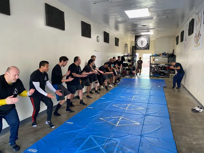Combatives Academy Picture 2