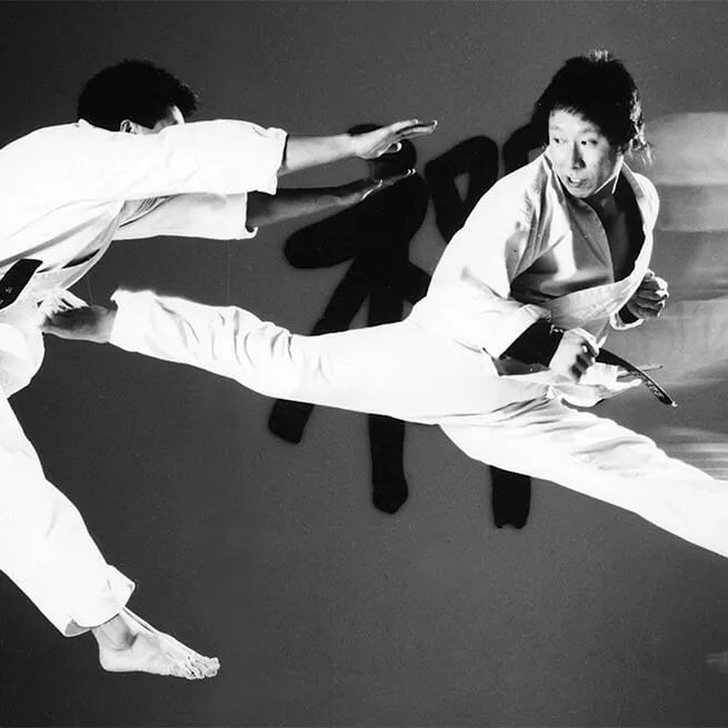 TumbleKick Martial Arts & Gymnastics Studio Picture 3