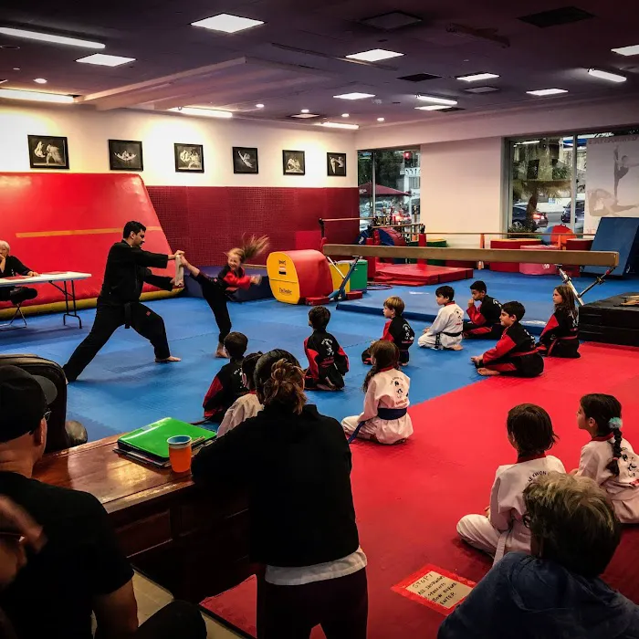 TumbleKick Martial Arts & Gymnastics Studio Picture 5