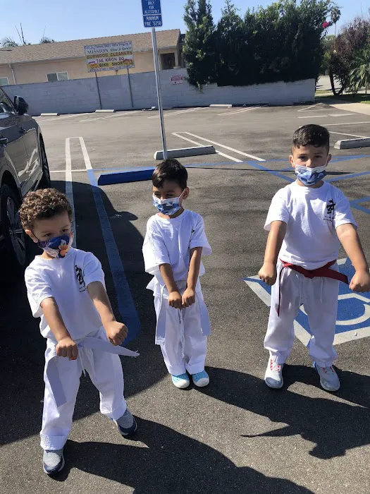 Myung Kim Martial Arts Picture 4