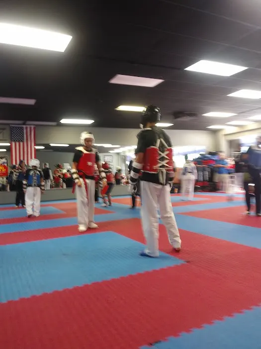 Z Tae Kwon Do Picture 2