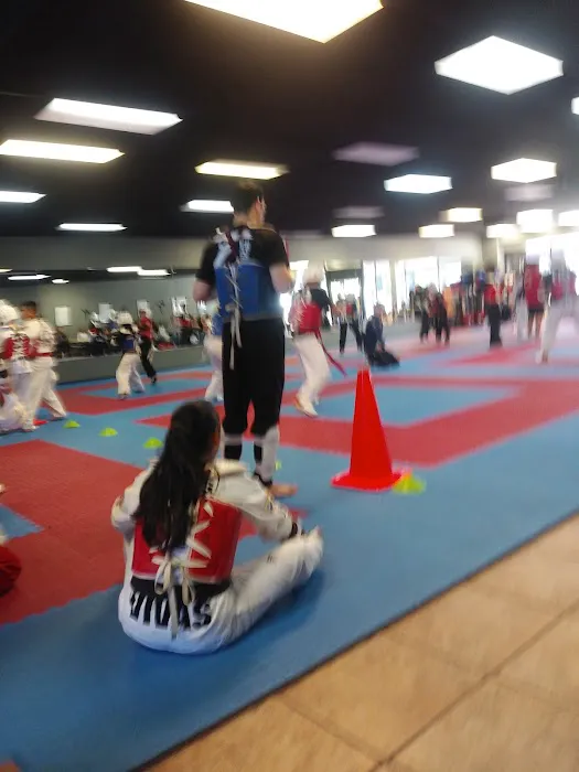 Z Tae Kwon Do Picture 1