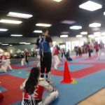 Z Tae Kwon Do