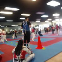 Z Tae Kwon Do ico
