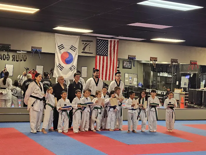 Z Tae Kwon Do Picture 3