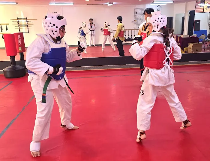 GoGoole TaeKwonDo Picture 3