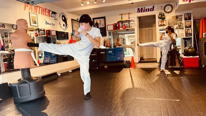 PANTHER Martial Arts in peron & virtual Picture 2